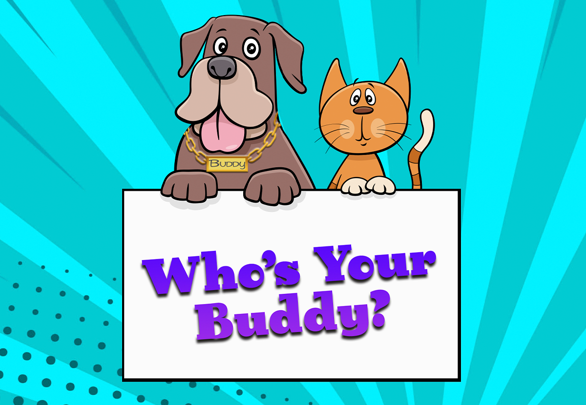 Who's Your Buddy?