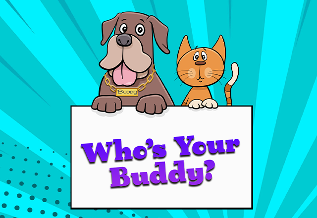 Who's Your Buddy?